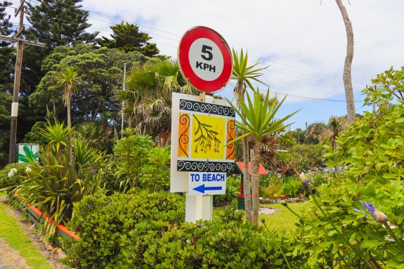 to the beach